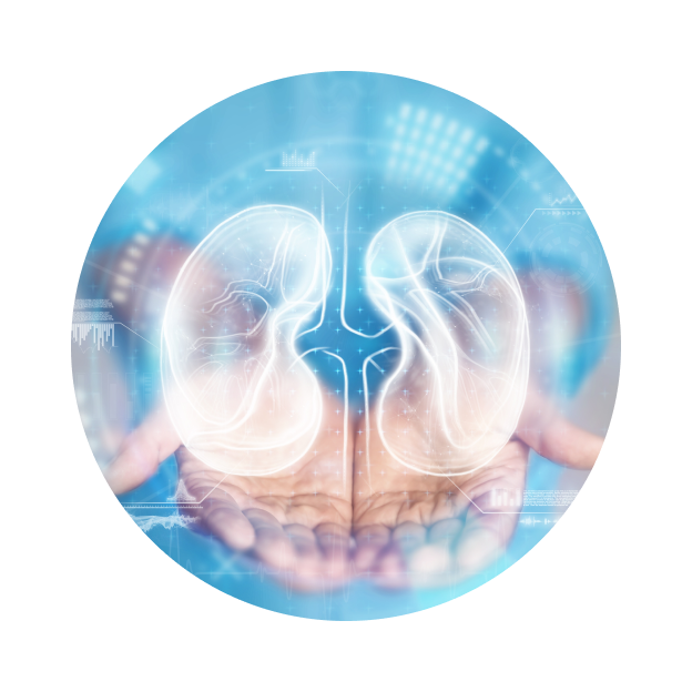 МСКТ почек МСКТ почек