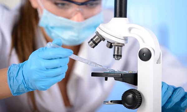 Исследование уровня дегидроэпиандростерона сульфата в крови Исследование уровня дегидроэпиандростерона сульфата в крови