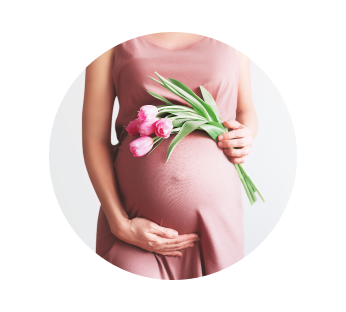 УЗИ при беременности УЗИ при беременности