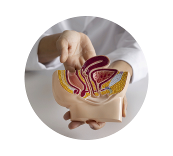 Биопсия кишечника