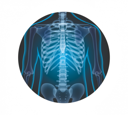 Рентген суставов Рентген суставов