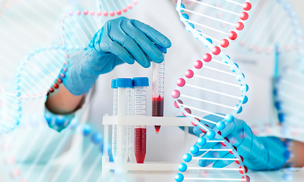 Анализ крови на антитела к ядерному антигену (NA) вируса Эпштейна-Барр класса G (IgG) Анализ крови на антитела к ядерному антигену (NA) вируса Эпштейна-Барр класса G (IgG)