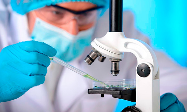 Иммуногистохимическое исследование (1 антитело)