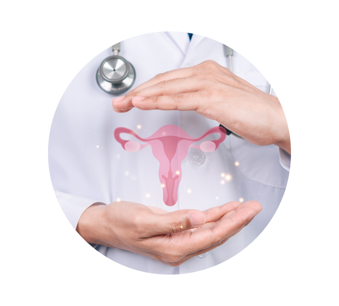 Кольпоскопия Кольпоскопия