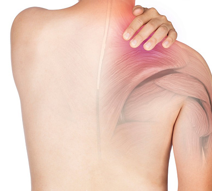 Рентген лопатки